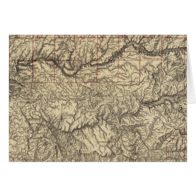 カリフォルニア中部 (正面横)