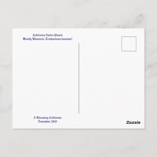 カリフォルニア先住民カラー:11月はがき ポストカード (裏面)