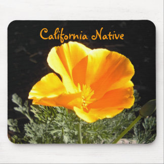 カリフォルニア先住民 マウスパッド