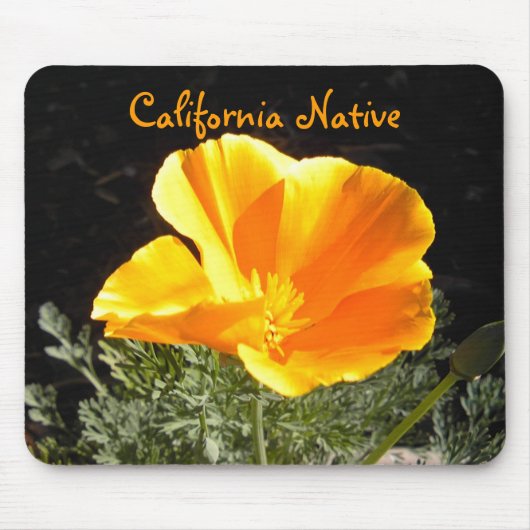 カリフォルニア先住民 マウスパッド (正面)