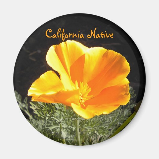カリフォルニア先住民 マグネット (正面)