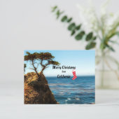 カリフォルニア出身のメリークリスマス シーズンポストカード (スタンド正面)