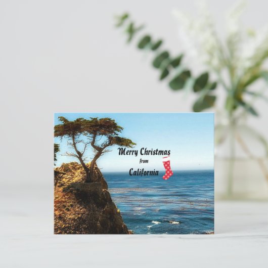 カリフォルニア出身のメリークリスマス シーズンポストカード (スタンド正面)