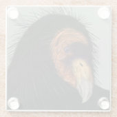 カリフォルニア図解入りの、写真付きのコンドル ガラスコースター (裏面)