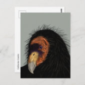 カリフォルニア図解入りの、写真付きのコンドル ポストカード (正面/裏面)