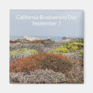 カリフォルニア多様性デー マグネット