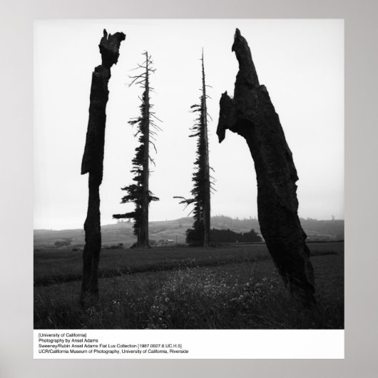 カリフォルニア大学アンセル・アダムス ポスター (正面)