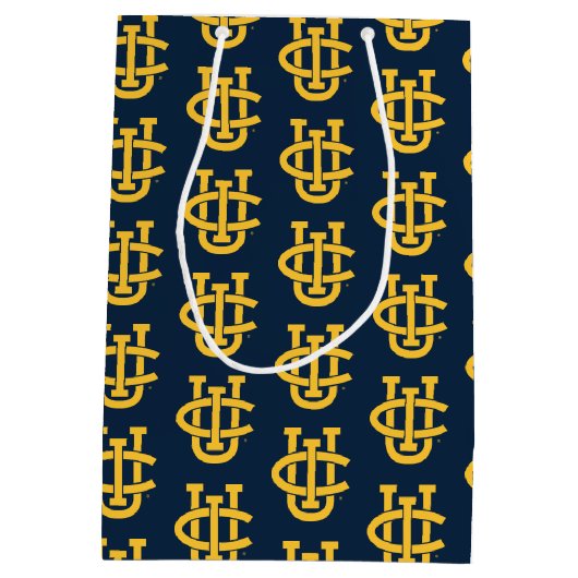 カリフォルニア大学アーバイン校のロゴ ミディアムペーパーバッグ (裏面)