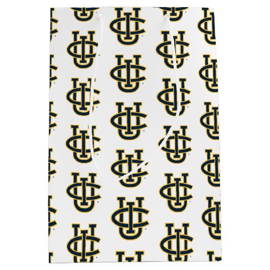 カリフォルニア大学アーバイン校のロゴ ミディアムペーパーバッグ (正面)