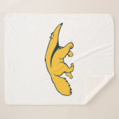 カリフォルニア大学アーバイン・アンテーター シェルパブランケット (正面(横))