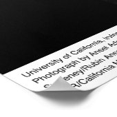 カリフォルニア大学アーバイン、1967年4月 ポスター (角)