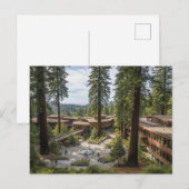カリフォルニア大学サンタクルーズ校 ポストカード (正面/裏面)