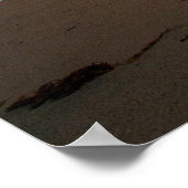 カリフォルニア太平洋岸モントレーでの夕日 ポスター (角)