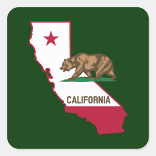カリフォルニア州のアウトラインとフラグ スクエアシール