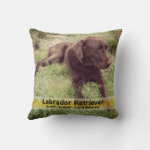 カリフォルニア州のチョコレートラボPoppy Patch Photos クッション (裏面)