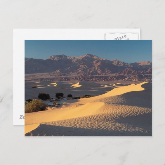 カリフォルニア州のデス・バレー国記念碑 ポストカード (正面/裏面)