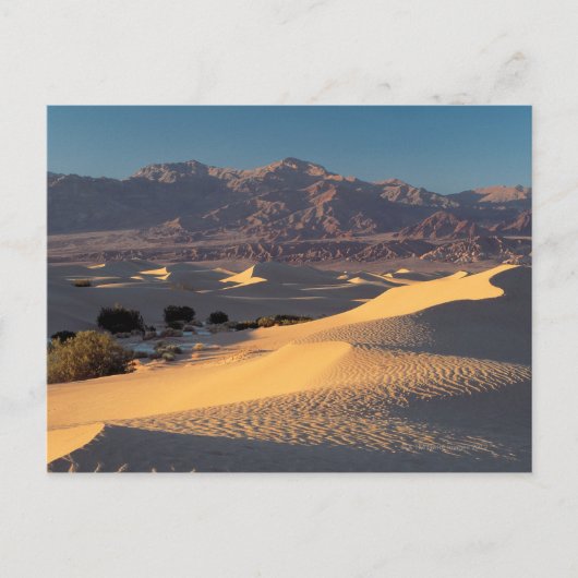 カリフォルニア州のデス・バレー国記念碑 ポストカード (正面)