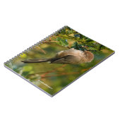 カリフォルニア州のバシュティット卿薄紫・ブッシュ ノートブック (左側)