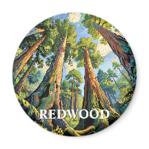 カリフォルニア州のレッドウッド国立公園の森の絵画