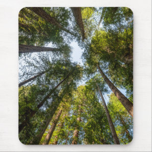カリフォルニア州のレッドウッド国立州立公園 マウスパッド