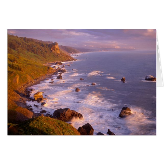 カリフォルニア州のレッドウッド海岸線 (正面横)