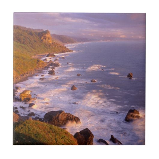 カリフォルニア州のレッドウッド海岸線 タイル (正面)