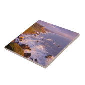 カリフォルニア州のレッドウッド海岸線 タイル (側面)