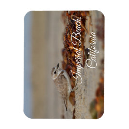 カリフォルニア州の千鳥と海藻の帝国ビーチ マグネット