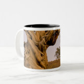 カリフォルニア州の古代ブリスルコーン森林 ツートーンマグカップ (正面左)