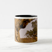 カリフォルニア州の古代ブリスルコーン森林 ツートーンマグカップ (中央)
