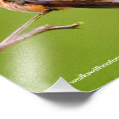 カリフォルニア州の可愛いハミングバード薄紫 フォトプリント            (角)