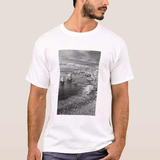 カリフォルニア州の海岸線の白黒写真 Tシャツ (正面)