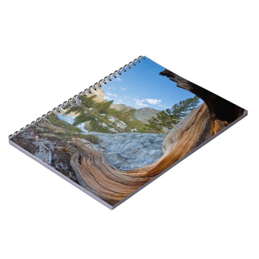 カリフォルニア州の稲葉国有林 ノートブック (左側)