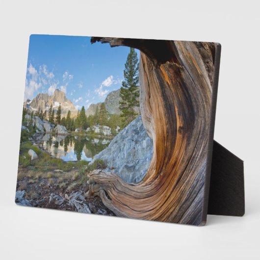 カリフォルニア州の稲葉国有林 フォトプラーク (側面)