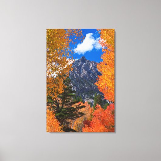 カリフォルニア州の紅葉に囲まれた山 キャンバスプリント (正面)
