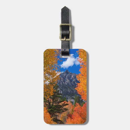 カリフォルニア州の紅葉に囲まれた山 ラゲッジタグ (正面縦)