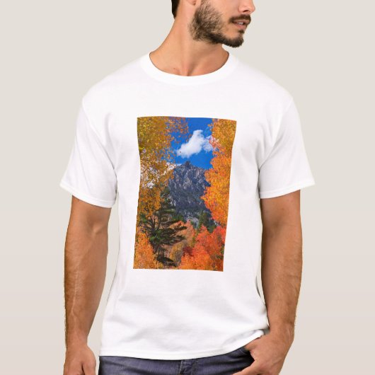 カリフォルニア州の紅葉に囲まれた山 Tシャツ (正面)