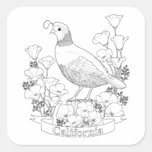 カリフォルニア州の鳥と花の着色ページ スクエアシール
