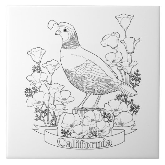 カリフォルニア州の鳥と花の着色ページ タイル (正面)