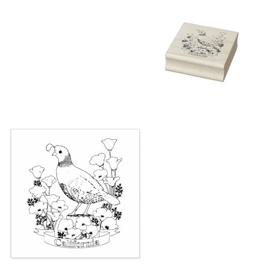 カリフォルニア州の鳥と花の着色ページ ラバースタンプ (押印)