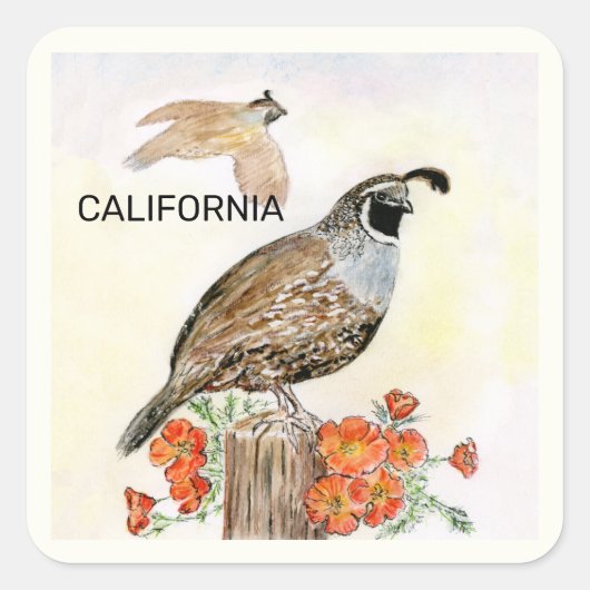 カリフォルニア州の鳥と花 スクエアシール (正面)