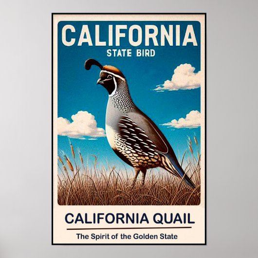 カリフォルニア州の鳥 - カリフォルニアウズラのヴィンテージ ポスター (正面)