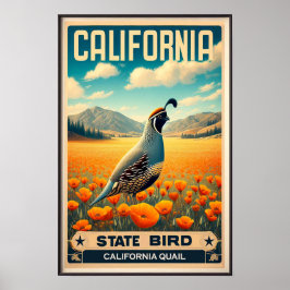 カリフォルニア州の鳥 - カリフォルニアウズラ ヴィンテージ ポスター