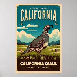 カリフォルニア州の鳥 - カリフォルニアウズラ ヴィンテージ ポスター