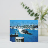 カリフォルニア州のSeagull Shoresはがき ポストカード (スタンド正面)