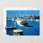 カリフォルニア州のSeagull Shoresはがき ポストカード (正面/裏面)