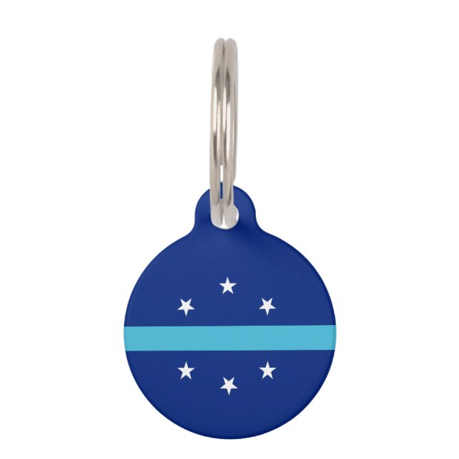 カリフォルニア州アナハイムの旗 ペット　ネームタグ (正面)