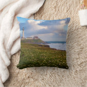 カリフォルニア州アメリカビッグスールパノラマ2 クッション (ブランケット)