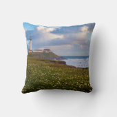 カリフォルニア州アメリカビッグスールパノラマ2 クッション (裏面)