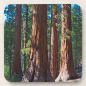 カリフォルニア州アメリカマリポサ，セコイアの木の幹 コースター (正面)